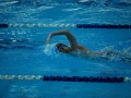 vladimir-simic_saaquatics12